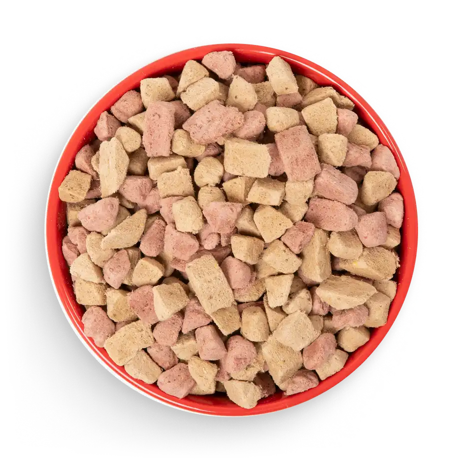 Full bowl of dog food
