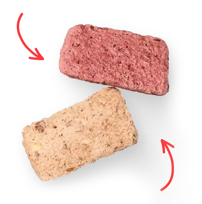 Signature Blend