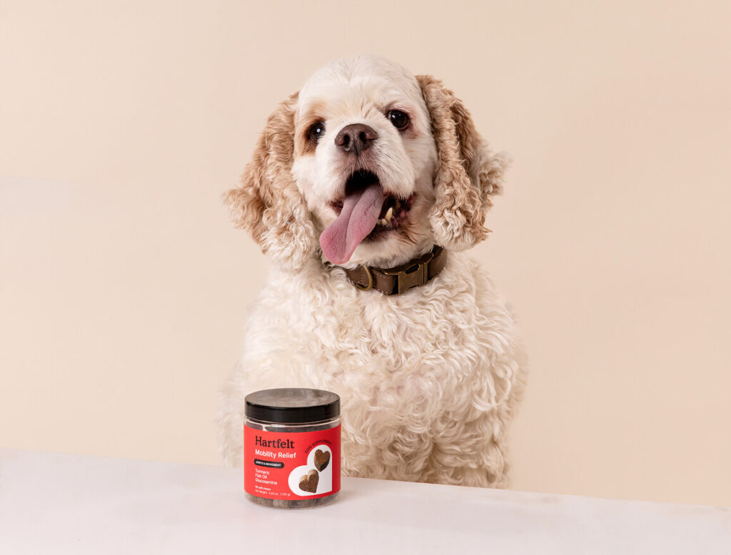 Happy Dog - Mobility Relief