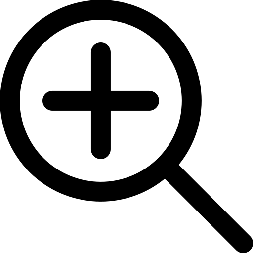 Zoom Icon